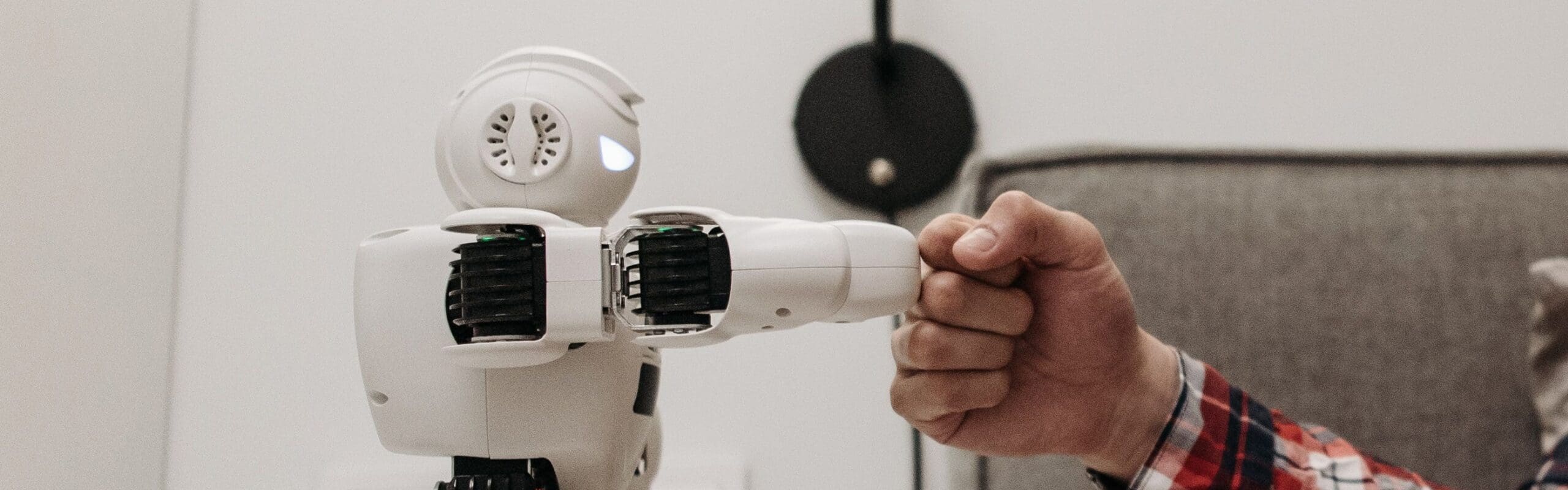 Natural Language Processing (NLP)