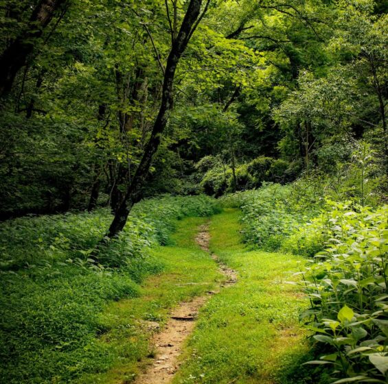 Path2
